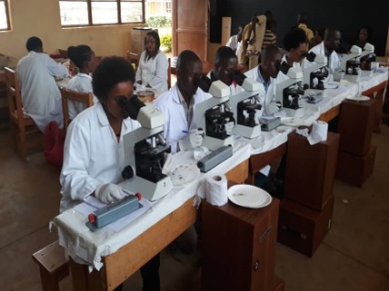 Lab technicians screening for schistosomiasis. Photo: PROFORMA