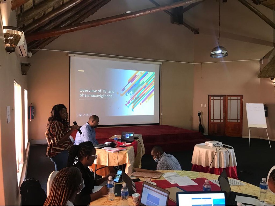 PAVIA blended training event