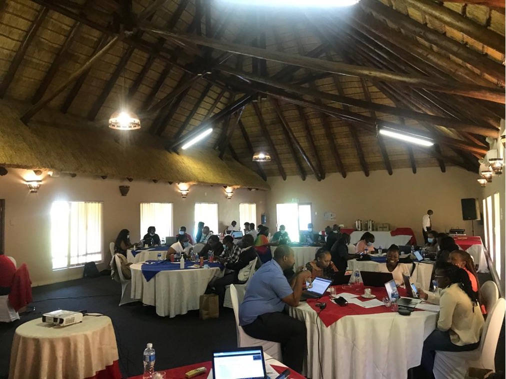 PAVIA blended training event